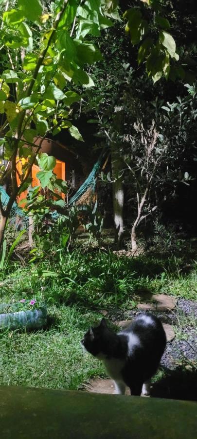 Tenda Da Lua อัลโต ปาไรโซ เด โกยาส ภายนอก รูปภาพ